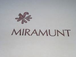 Miramunt Hotel Flims Kültér fotó